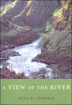 Cover for Luna B. Leopold · A View of the River (Paperback Book) (2006)