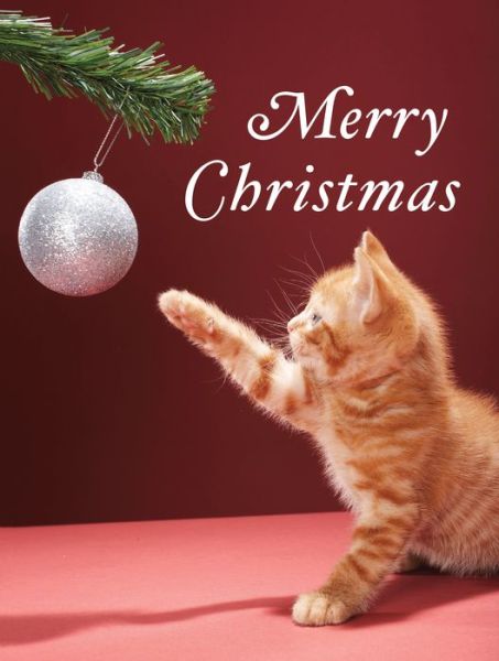 Christmas Kitty Boxed Holiday Full Notecards - Galison - Books - Galison - 9780735344457 - September 15, 2015