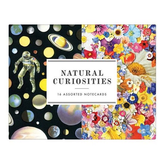 Natural Curiosities Greeting Assortment Notecards - Sarah McMenemy - Bøger - Galison - 9780735357457 - 4. februar 2019