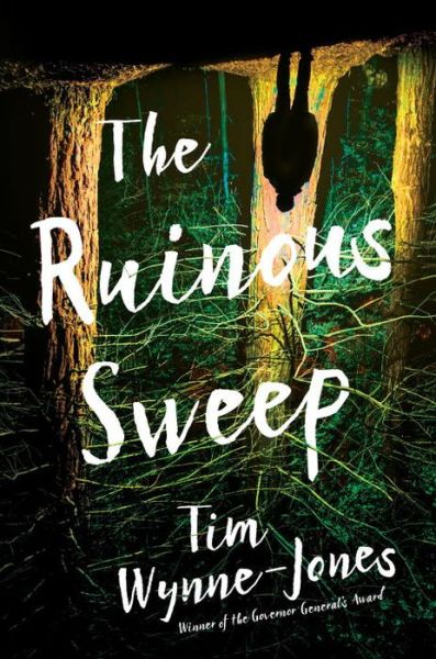 Cover for Tim Wynne-Jones · The ruinous sweep (Book) [First edition. edition] (2018)