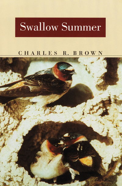 Cover for Charles R. Brown · Swallow Summer (Taschenbuch) (1998)