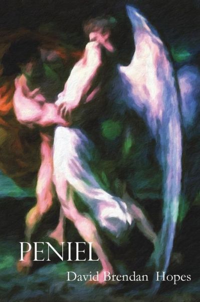 Cover for David Brendan Hopes · Peniel (Bok) (2017)