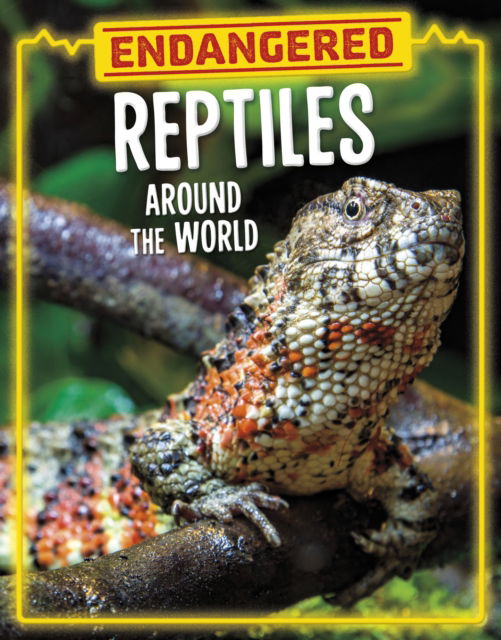 Cover for Golriz Golkar · Endangered Reptiles Around the World - Endangered Animals Around the World (Hardcover Book) (2025)