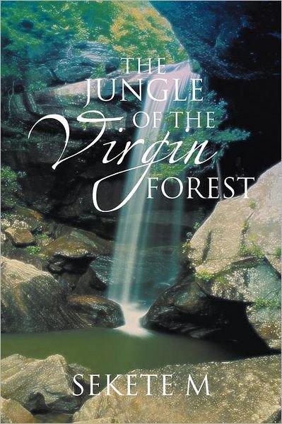 Cover for Sekete M · The Jungle of the Virgin Forest (Pocketbok) (2012)