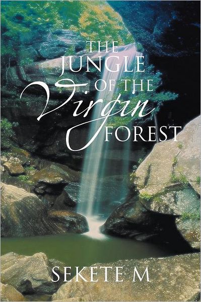 Cover for Sekete M · The Jungle of the Virgin Forest (Paperback Book) (2012)