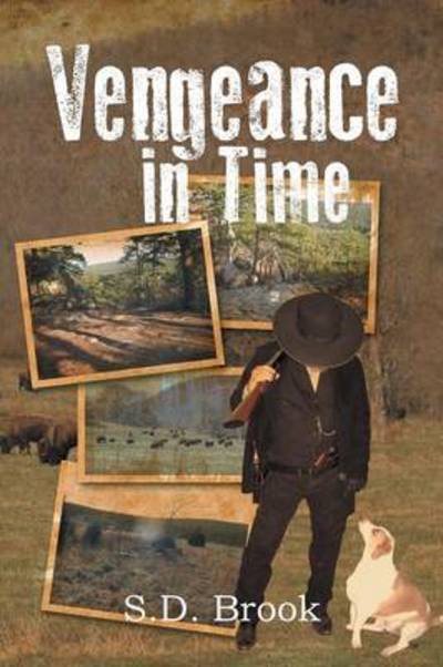 Cover for S D Brook · Vengeance in Time (Paperback Book) (2013)