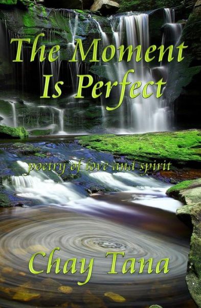 Cover for Chay Tana · The Moment is Perfect (Paperback Book) (2013)