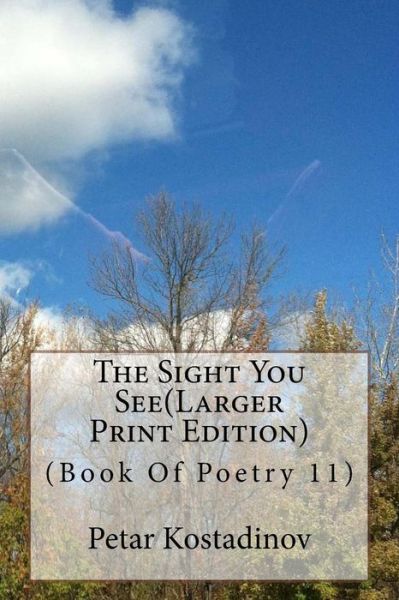 Cover for Petar Kostadinov · The Sight You See (Paperback Book) [Larger Print edition] (2014)