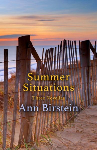 Cover for Ann Birstein · Summer Situations: Three Novellas (Paperback Book) (2015)