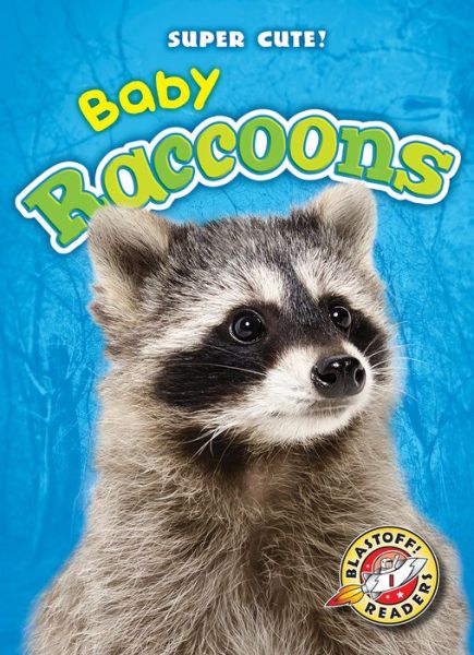 Cover for Megan Borgert-Spaniol · Baby Raccoons (Hardcover Book) (2017)