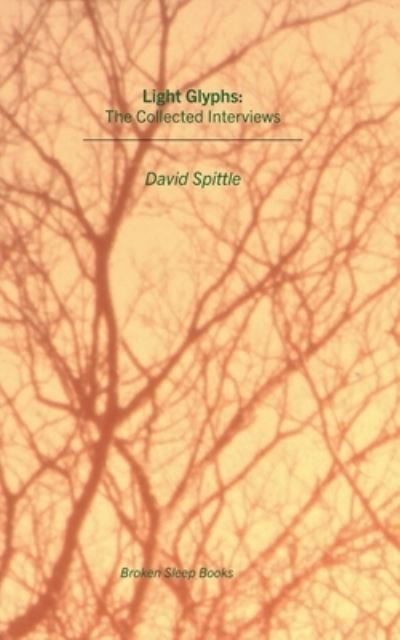 Cover for David Spittle · Light Glyphs (Paperback Book) (2021)