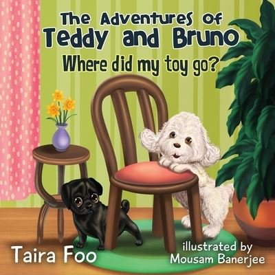 Cover for Taira Foo · Where Did My Toy Go ? (Book) (2022)