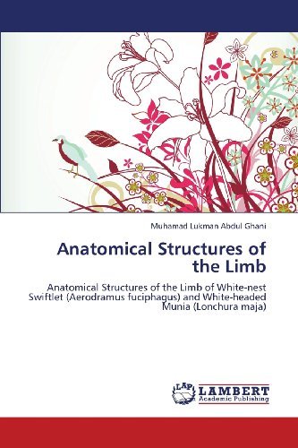 Cover for Muhamad Lukman Abdul Ghani · Anatomical Structures of the Limb: Anatomical Structures of the Limb of White-nest Swiftlet (Aerodramus Fuciphagus) and White-headed Munia (Lonchura Maja) (Paperback Bog) (2013)