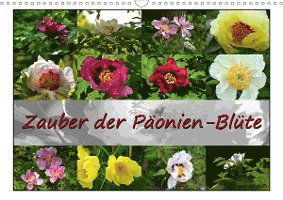 Cover for Reiter · Zauber der Päonien-Blüte (Wandka (Book)