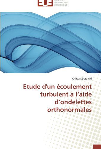 Cover for Chiraz Kouraichi · Etude D'un Écoulement Turbulent À L'aide D'ondelettes Orthonormales (Paperback Book) [French edition] (2018)