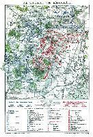 Historische Landkarte: Schlacht bei Königgrätz am 3. Juli 1866 (A2 gefaltet auf A4) - Harald Rockstuhl - Books - Rockstuhl Verlag - 9783959660457 - 2016