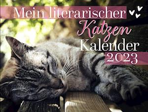 Mein literarischer Katzen Kalender 2023 - Heel Verlag GmbH - Merchandise - Heel Verlag GmbH - 9783966644457 - June 1, 2022