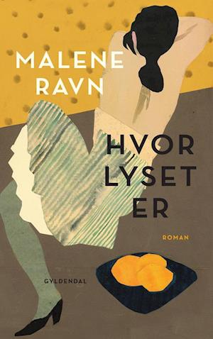 Cover for Malene Ravn · Hvor lyset er (Innbunden bok) [1. utgave] (2020)