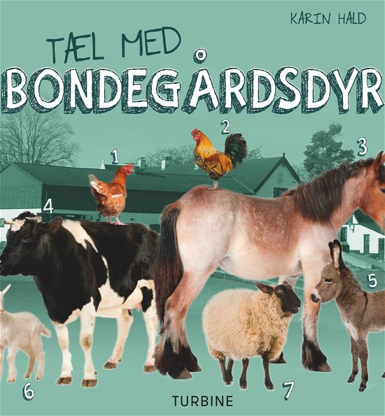 Cover for Karin Hald · Tæl med bondegårdsdyr (Pappbok) [1:a utgåva] (2018)
