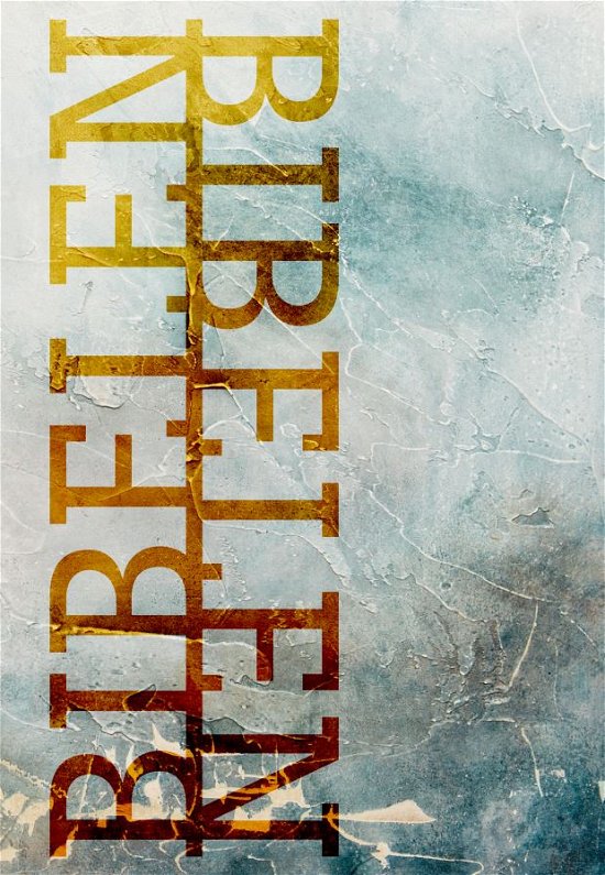 Cover for Bibelen på Hverdagsdansk, paperback, frost (Paperback Book) (2023)