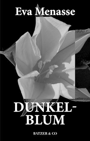 Cover for Eva Menasse · Dunkelblum (Bound Book) [1st edition] (2023)