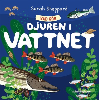 Cover for Sarah Sheppard · Vad gör djuren i vattnet? (ePUB) (2024)