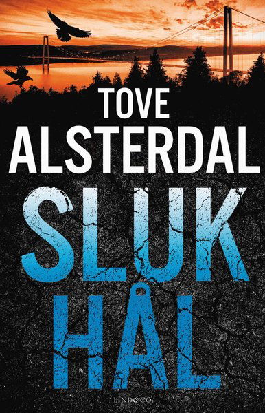 Cover for Tove Alsterdal · Slukhål (Indbundet Bog) (2021)