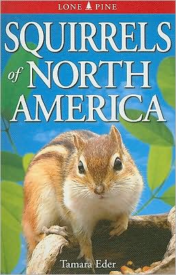 Cover for Tamara Eder · Squirrels of North America (Paperback Book) (2022)