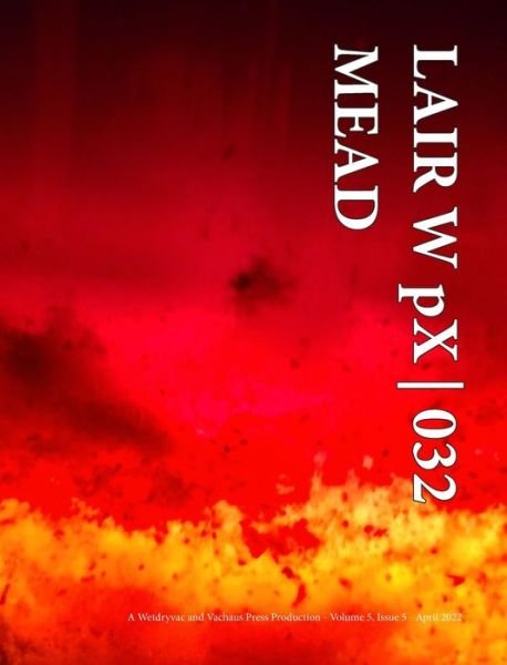 Cover for Wetdryvac · LAIR W pX 032 Mead (Hardcover Book) (2024)