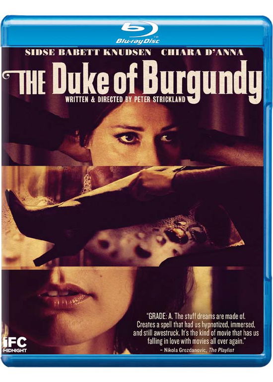 Cover for Duke of Burgundy (DVD) (2015)