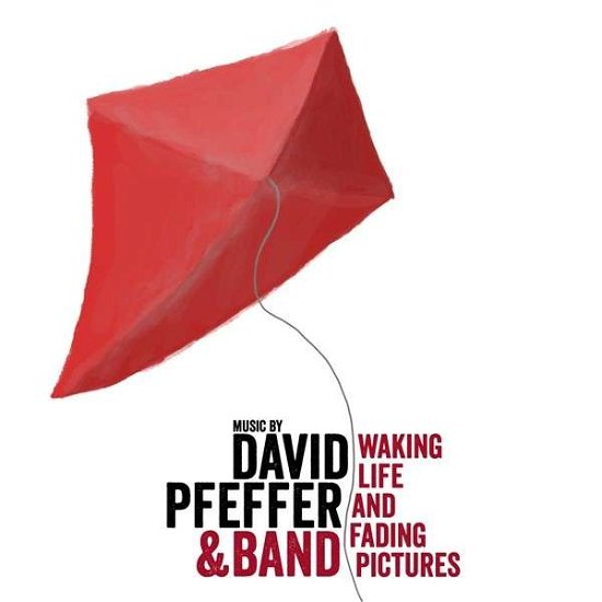Cover for Pfeffer · David Pfeffer &amp; Band, Waking Li (Book) (2013)
