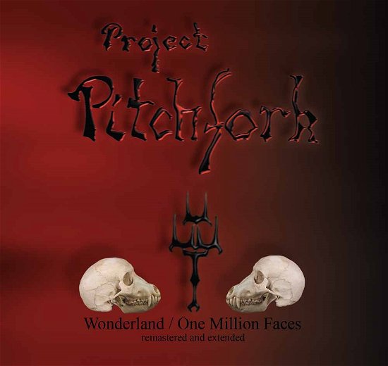Cover for Project Pitchfork · Wonderland / One Million Faces (CD) [Remastered edition] [Digipak] (2016)