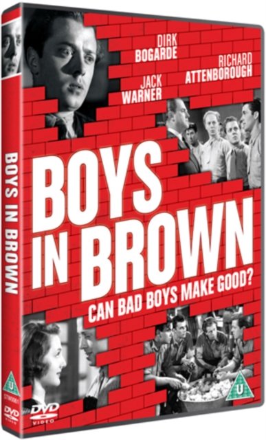 Cover for Boys in Brown · Boys In Brown (DVD) (2013)