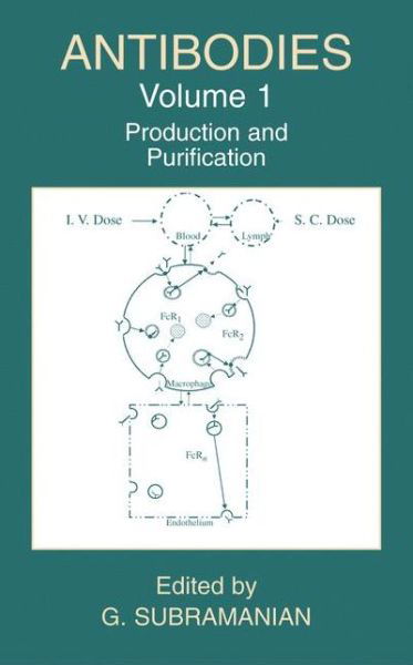 Cover for G Subramanian · Antibodies: Production and Purification (Production and Purification) (Innbunden bok) (2004)