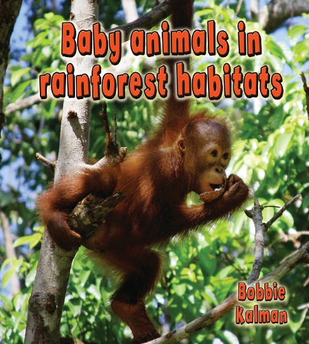 Cover for Bobbie Kalman · Baby Animals in Rainforest Habitats (Habitats of Baby Animals) (Paperback Book) (2011)