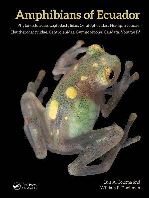 Cover for Luis A. Coloma · Amphibians of Ecuador: Phyllomedusidae, Leptodactylidae, Ceratophryidae, Hemiphractidae, Eleutherodactylidae, Centrolenidae, Gymnophiona, Caudata Volume IV (Hardcover Book) (2025)