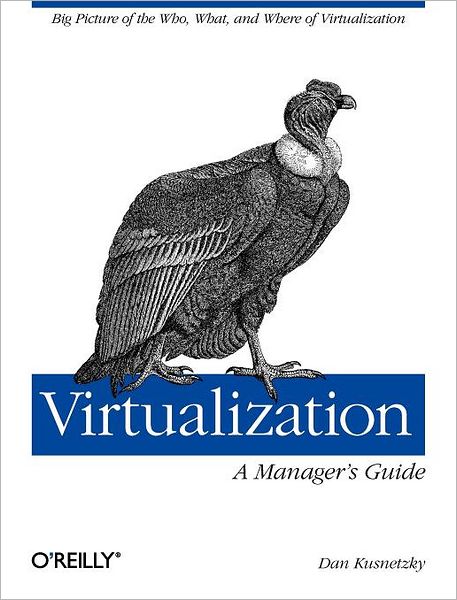 Virtualization - A Managers Guide - REAL TIME BOOKS - Dan Kusnetzky - Books - O'Reilly Media - 9781449306458 - August 2, 2011