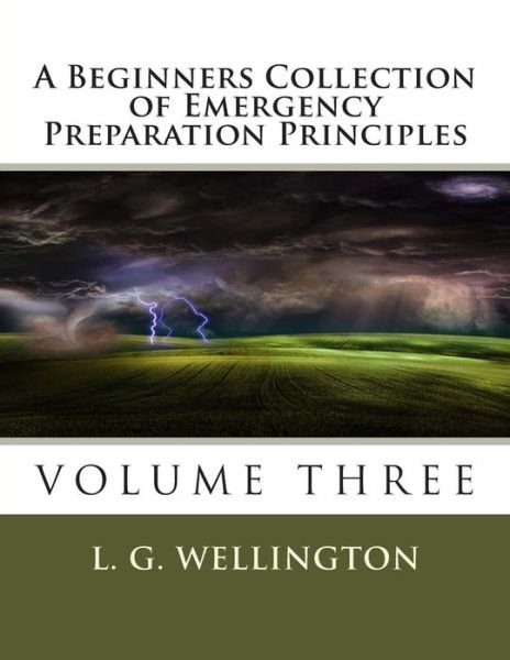 Cover for L G Wellington · A Beginners Collection of Emergency Preparation Principles (Paperback Bog) (2013)