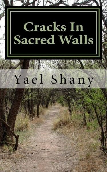 Cover for Yael Shany · Cracks in Sacred Walls: Discover the Secrets of True Healing in Yourself (Paperback Bog) (2014)