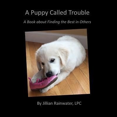 Cover for Lpc Jilian Rainwater · A Puppy Called Trouble (Taschenbuch) (2016)