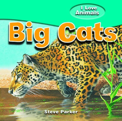 Cover for Steve Parker · Big Cats (I Love Animals) (Hardcover bog) (2010)