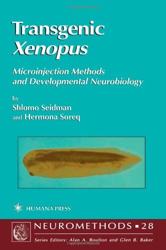 Cover for Shlomo Seidman · Transgenic Xenopus: Microinjection Methods and Developmental Neurobiology - Neuromethods (Paperback Bog) [Softcover reprint of hardcover 1st ed. 1997 edition] (2010)