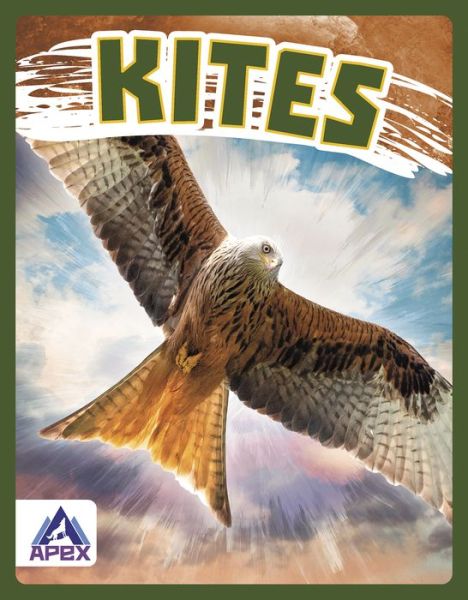 Cover for Connor Stratton · Kites - Birds of Prey (Hardcover Book) (2022)