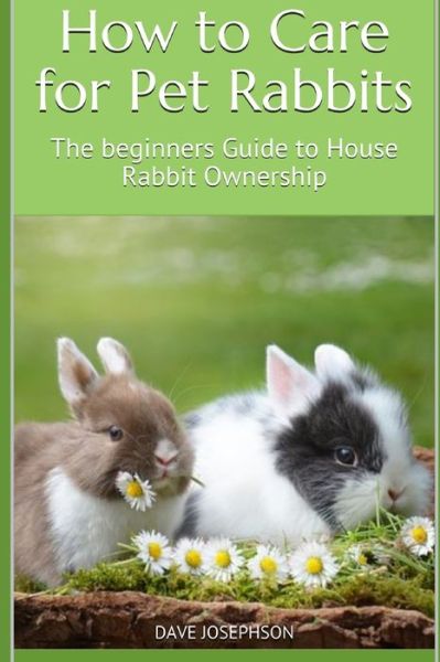 Cover for Dave Josephson · How to Care for Pet Rabbits (Paperback Book) (2019)