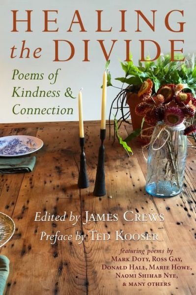 Cover for Healing the Divide: Poems of Kindness and Connection (Pocketbok) (2019)