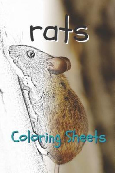 Cover for Julian Smith · Rat Coloring Sheets (Pocketbok) (2019)