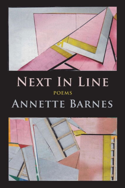 Cover for Annette Barnes · Next In Line (Paperback Book) (2017)