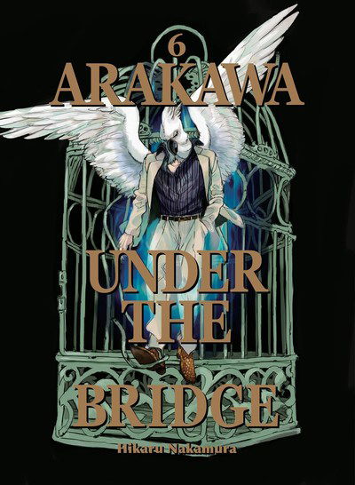 Cover for Hikaru Nakamura · Arakawa Under The Bridge, 6 (Paperback Book) (2019)