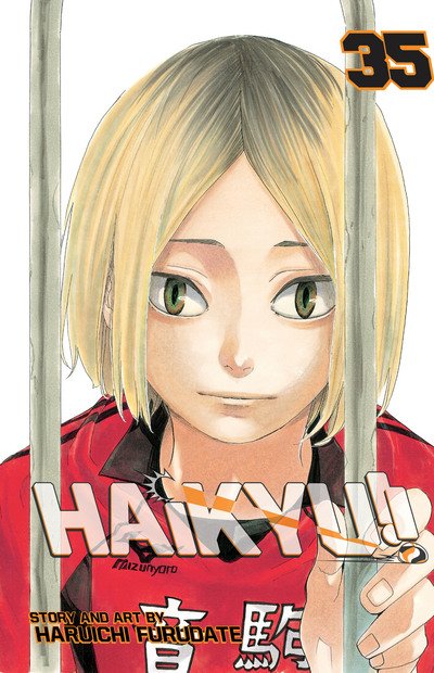 Cover for Haruichi Furudate · Haikyu!!, Vol. 35 - Haikyu!! (Paperback Bog) (2019)