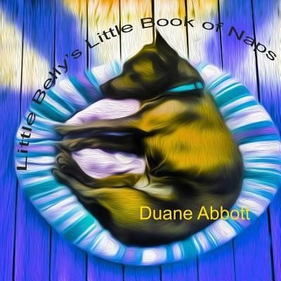 Cover for Duane Abbott · Little Belly's Little Book of Naps (Paperback Bog) (2018)